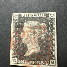 Beautiful Penny Black Beauty