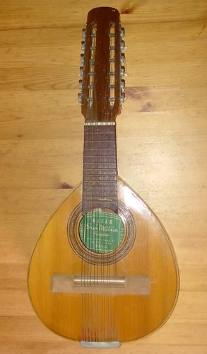 Spanish bandurria short - bandurria,