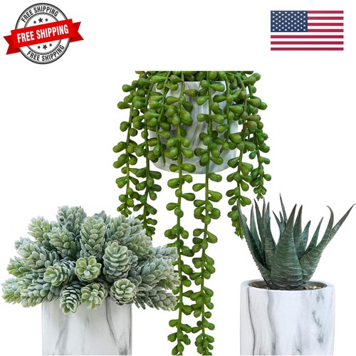 Set small artificial - of, 3