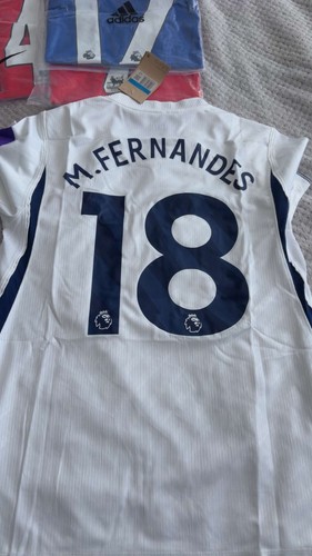 Mateus fernandes tottenham - mateus,