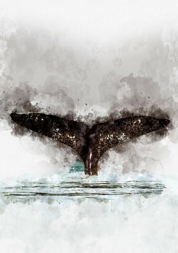 Whale tails going - , into