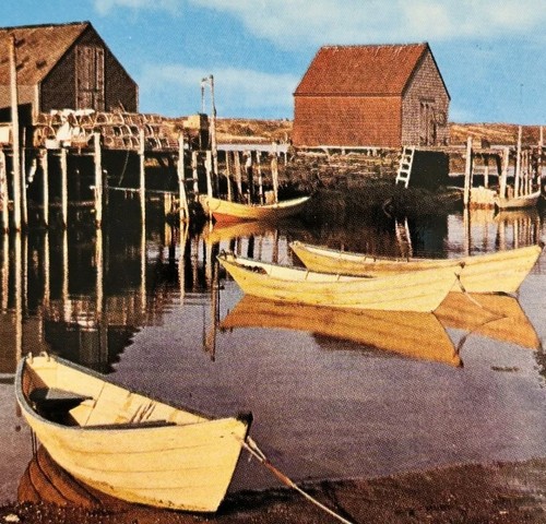 1970s postcard dory - dory, blue