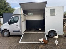 Horsebox 3.5 Tonne