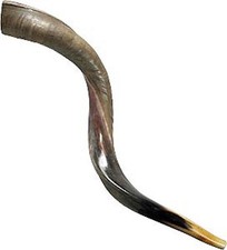 Half polished natual Judaica