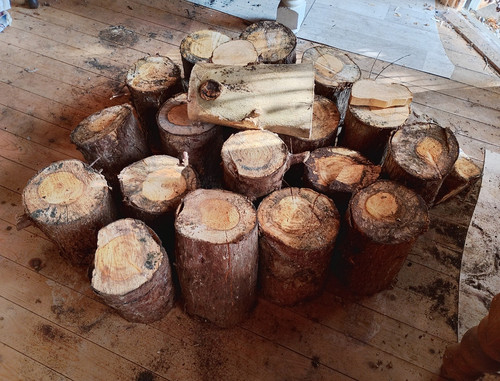 Seasoned hardwood pile - pile, of