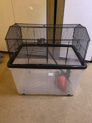 Gerbil cage 50x55x23 - 50x55x23, cm