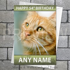 Tabby Cat birthday card. 5x7