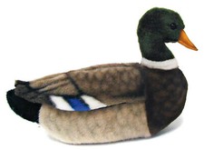 Hansa mallard duck - hansa,
