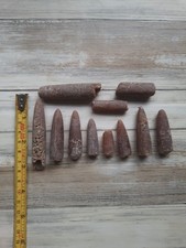 Belemnite Fossils Rock