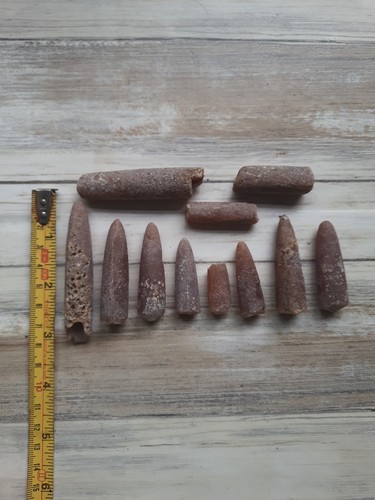 Belemnite fossils rock - belemnite,