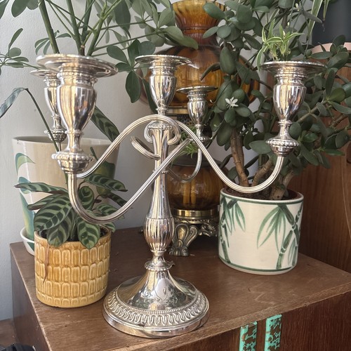 Vintage silver plated - silver, 5