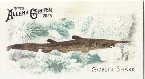 2025 topps allen - 2025,