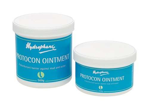 Horse hydrophane protocon - horse,