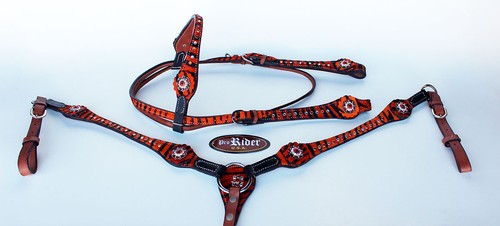 Horse show tack bridle western - tack,