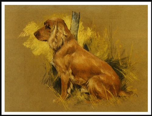 Cocker spaniel lovely dog art - cocker,