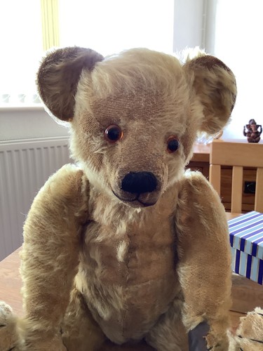 Antique 1920s farnell teddy - 1920s,