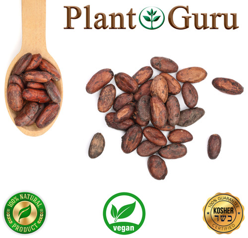 Raw cacao cocoa beans whole - cocoa,
