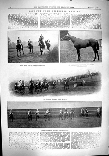 Old sandown horse racing - old,