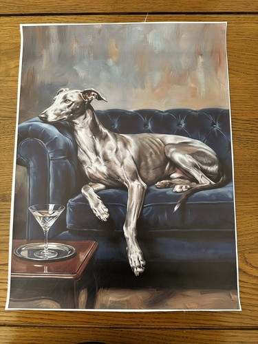 Elegant grey whippet greyhound - whippet,