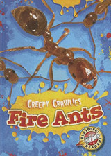 Fire Ants (Blastoff Readers