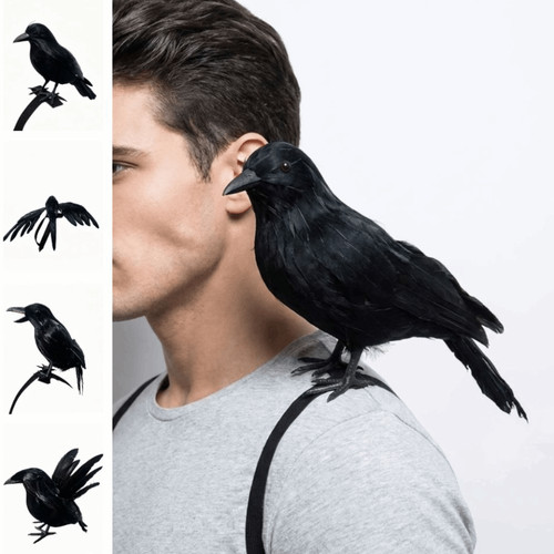 Black halloween bird realistic - halloween,