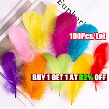 100 Solid Coloured Feathers -
