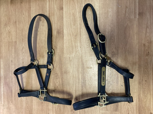 Full size headcollars - 2,