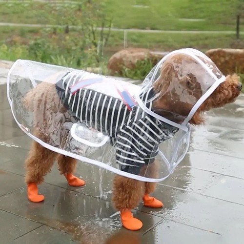 Pet raincoat transparent dog - pet,