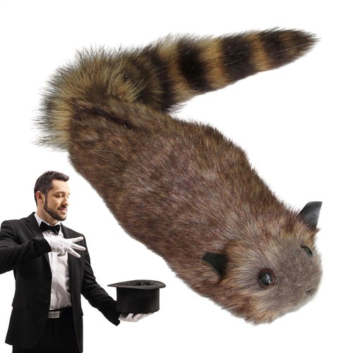 Simulation raccoon magic - simulation,