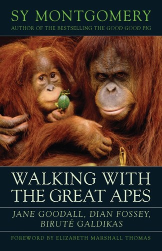 Walking with the great apes - with,