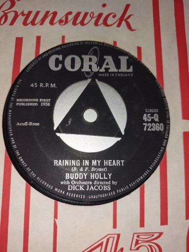 Buddy holly raining my - in,