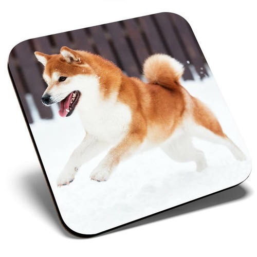 Square single coaster - -, shiba