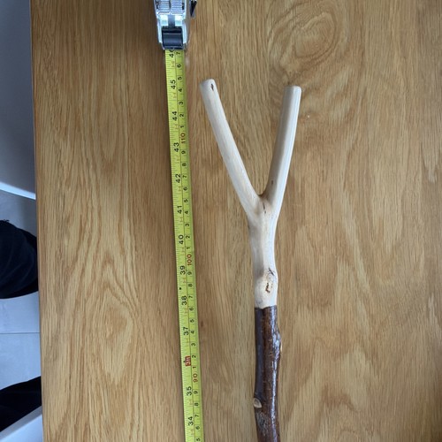 Hazel walking stick thumb - hazel,