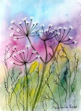 SALE! Cow Parsley Flowers