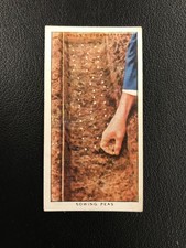 1938 Wills's Garden Hints #30