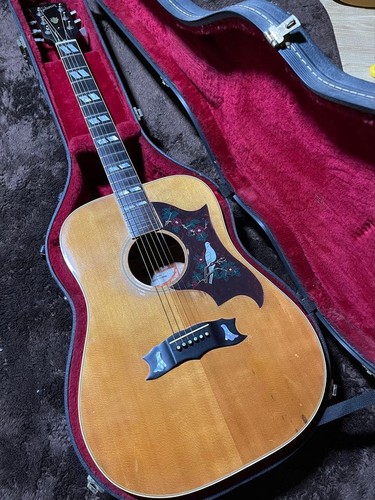 Vintage gibson dove 1981 - gibson,