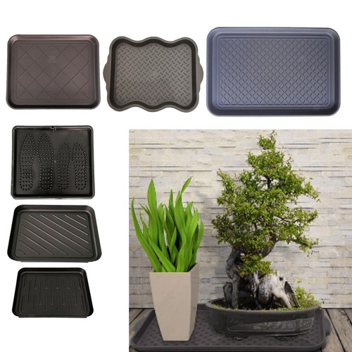 Van shoe storage - shoe, tray