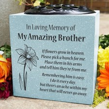 Grey amazing brother daffodil - amazing,