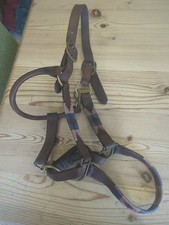Leather Headcollar Full Size