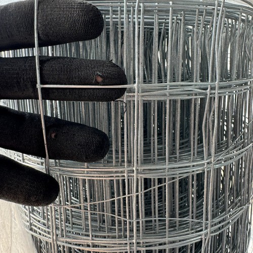 Welded chicken wire - wire, rolls