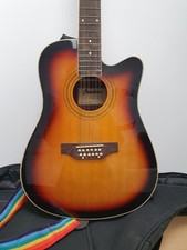 Pasadena 12 String Electro