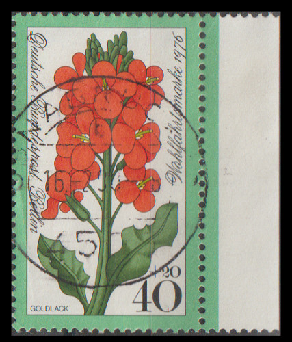 1976 berlin welfare garden - 1976,