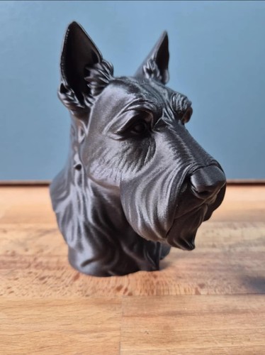 Scottish terrier bust - terrier,