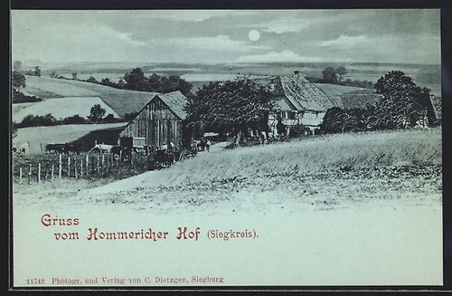 Moonlight postcard