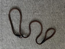 Nylon Strong Training Slip On Rope Puppy Dog Pet Leash Lead No Collar Needed