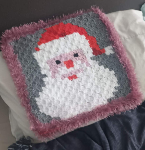 Christmas cushion cover