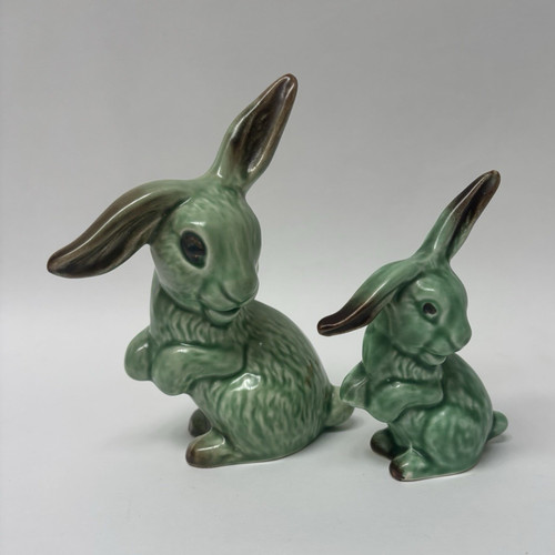 Two sylvac lop eared rabbits - eared,