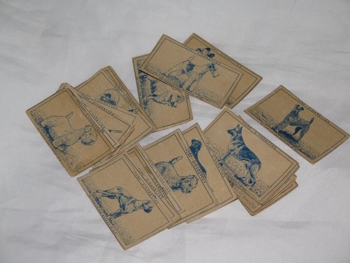 Vintage carreras turf - vintage,