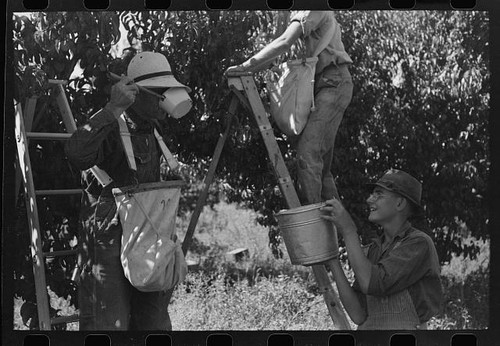Delta county colorado 1940 - county,