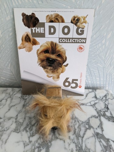 Lhasa apso the dog - lhasa,